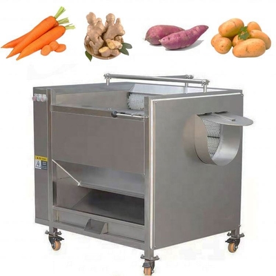 High Efficiency Ginger Washing Peeling Machinery China Supplier 500kg/h Brush Cleaning Machine