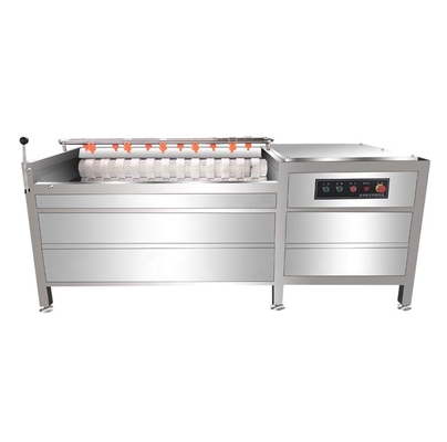 2021 Vegetable Processing Plant Peeling Machine Sweet Potato Washing And Peeling Machine Sweep Cleaning Peeling Machine